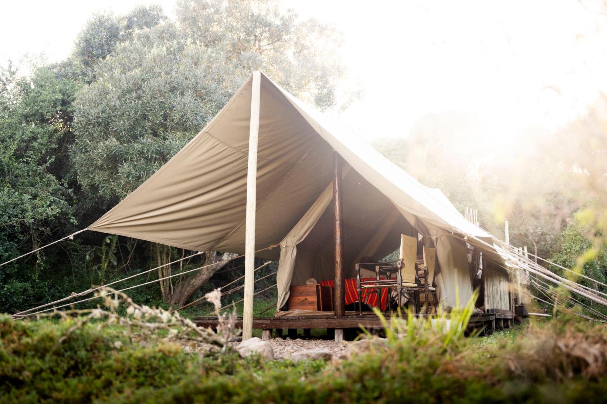 Quatermain'S 1920'S Safari Camp - Amakhala Game Reserve Eksteriør billede