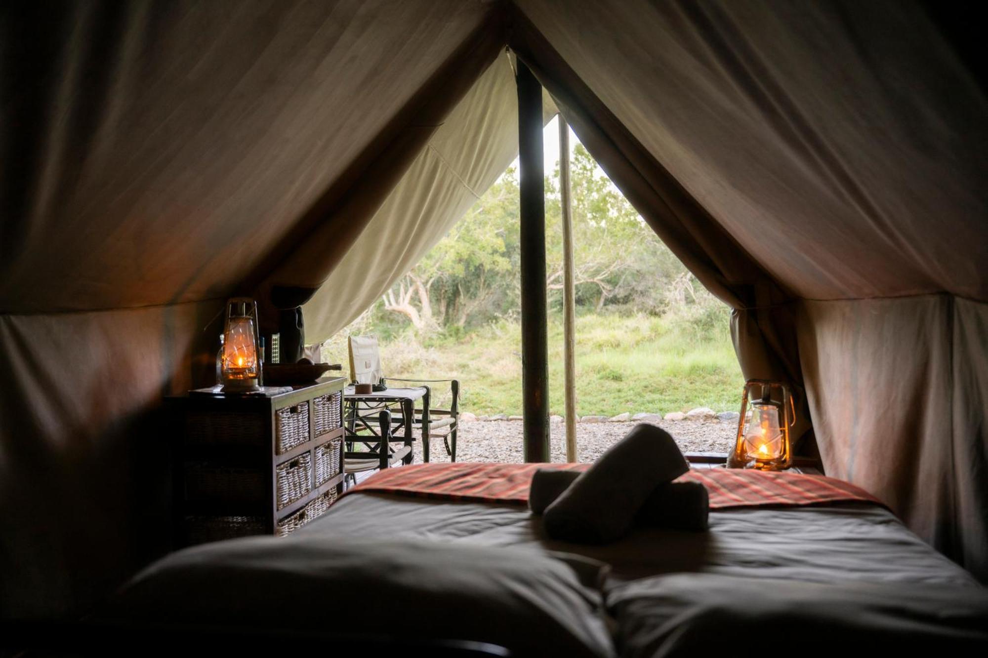 Quatermain'S 1920'S Safari Camp - Amakhala Game Reserve Eksteriør billede