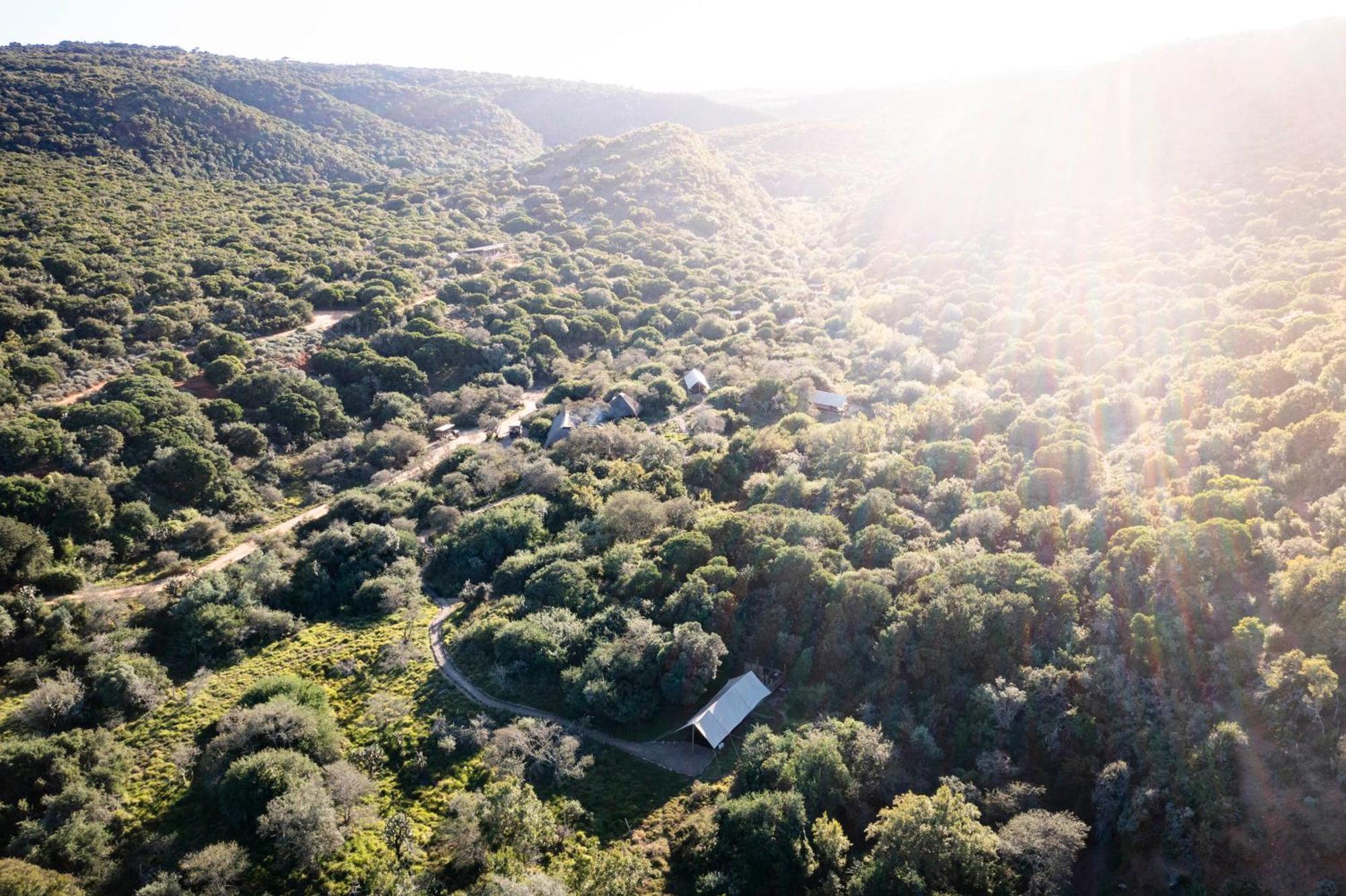 Quatermain'S 1920'S Safari Camp - Amakhala Game Reserve Eksteriør billede