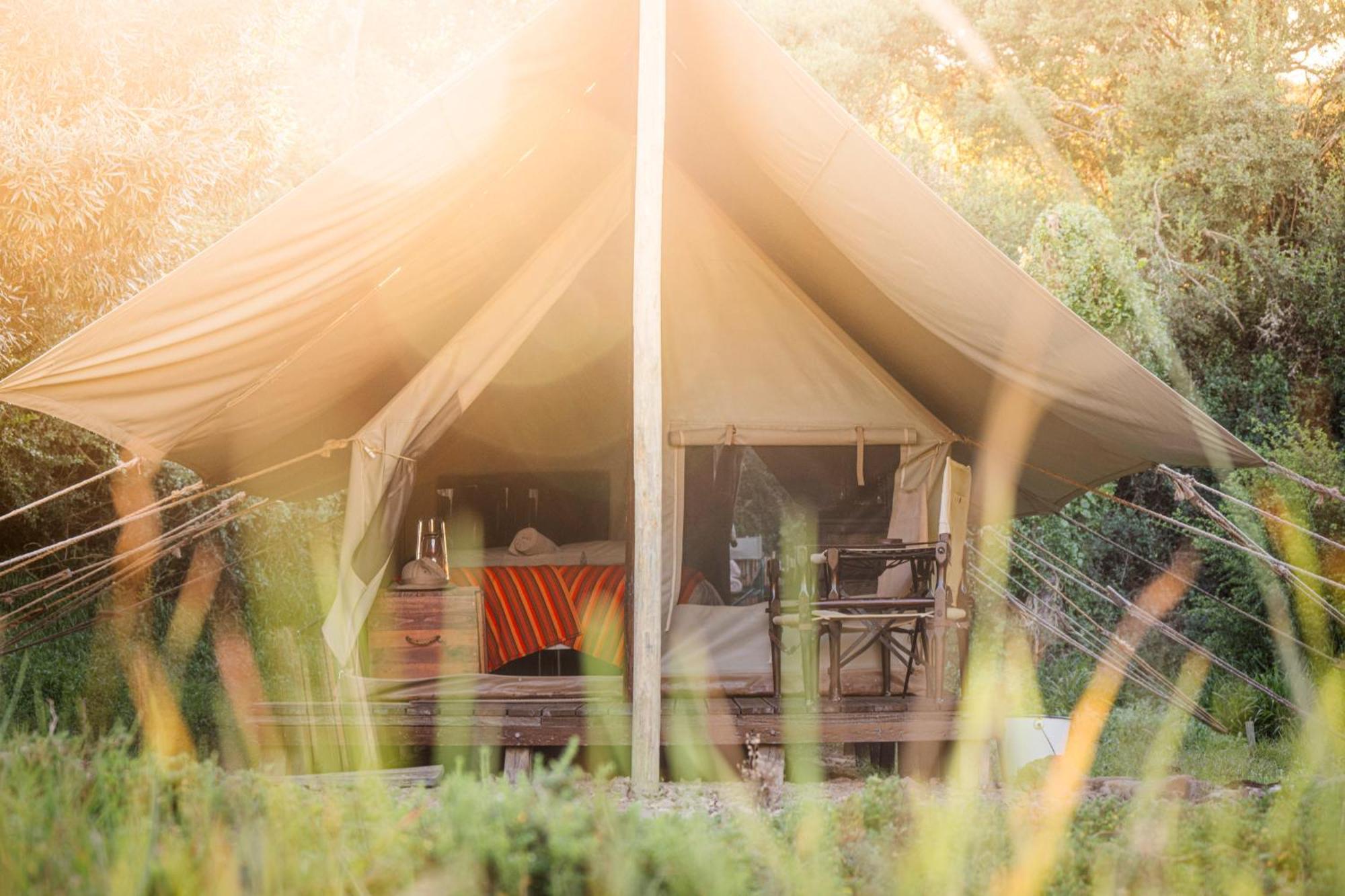 Quatermain'S 1920'S Safari Camp - Amakhala Game Reserve Eksteriør billede