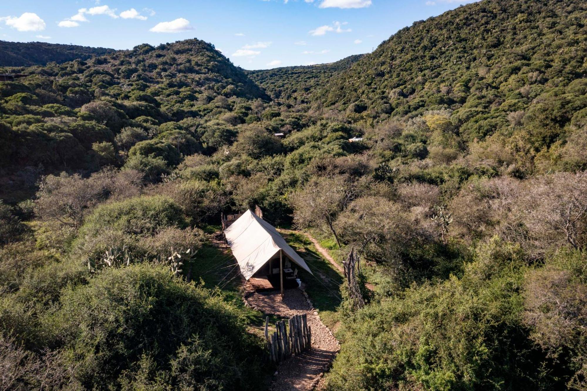 Quatermain'S 1920'S Safari Camp - Amakhala Game Reserve Eksteriør billede