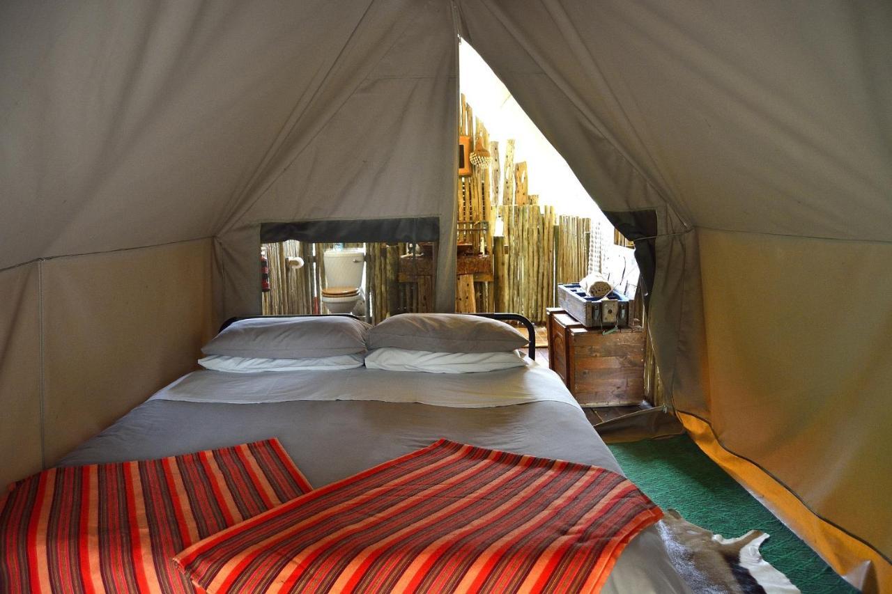 Quatermain'S 1920'S Safari Camp - Amakhala Game Reserve Eksteriør billede